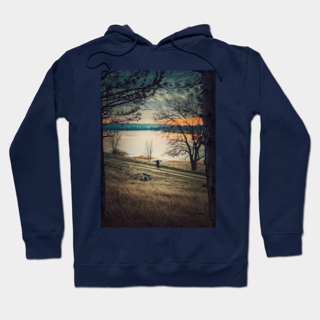 wanderer on the road Hoodie by psychoshadow